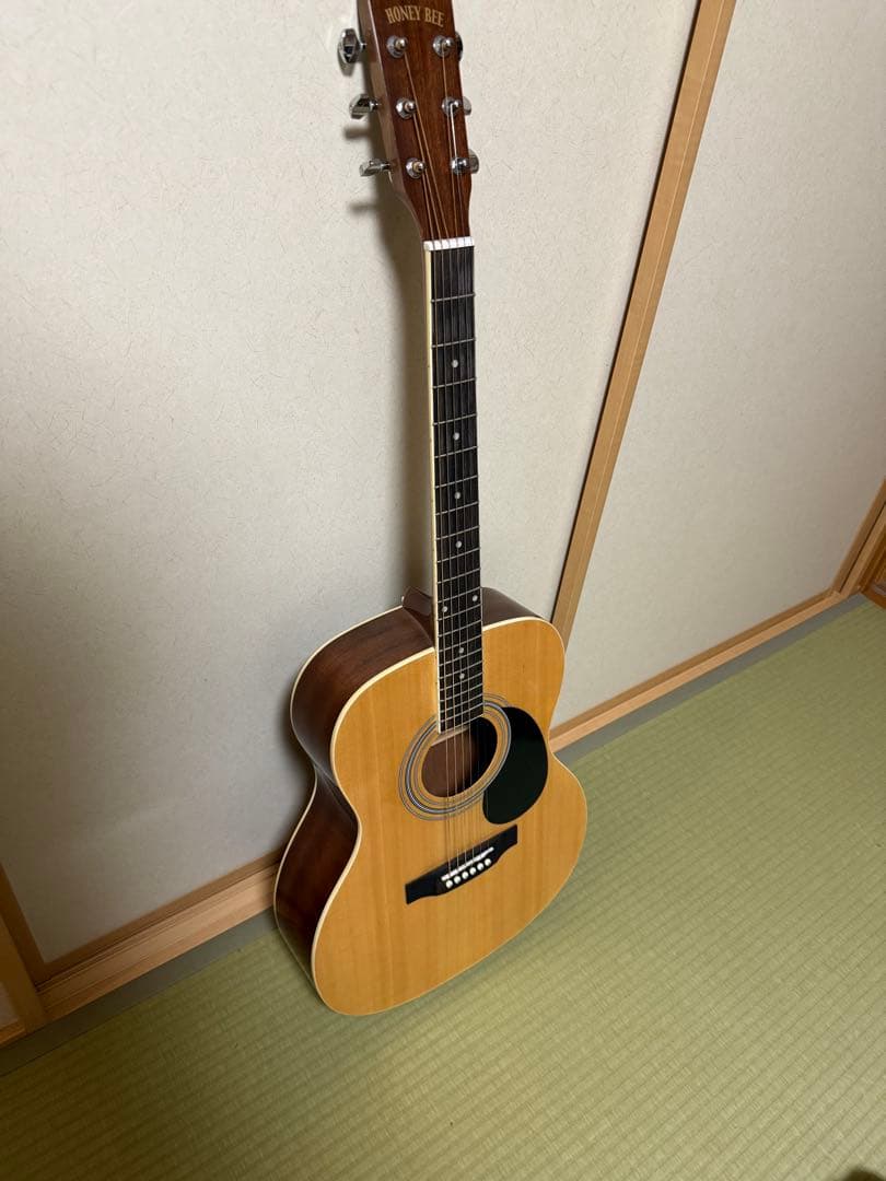【初心者におすすめ】HONEY BEE アコースティックギター