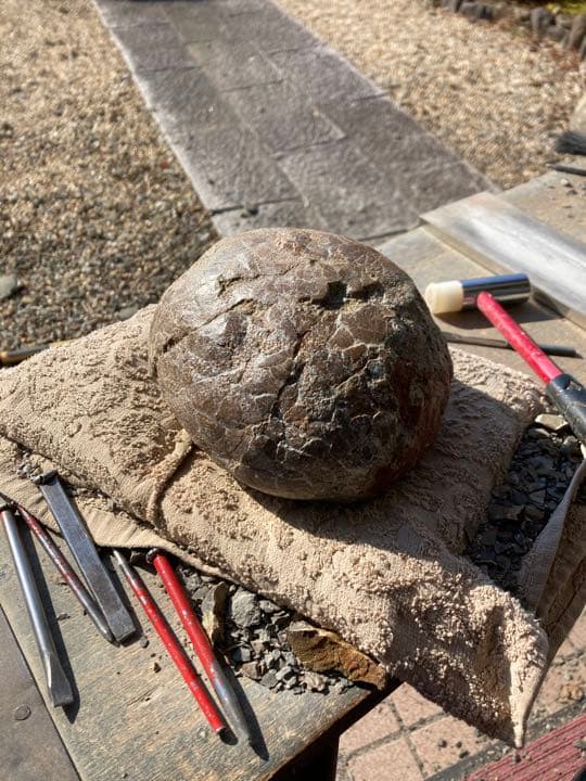 恐竜　ハドロサウルスの卵　本物保証　化石　/フィギュア　コレクション　インテリア