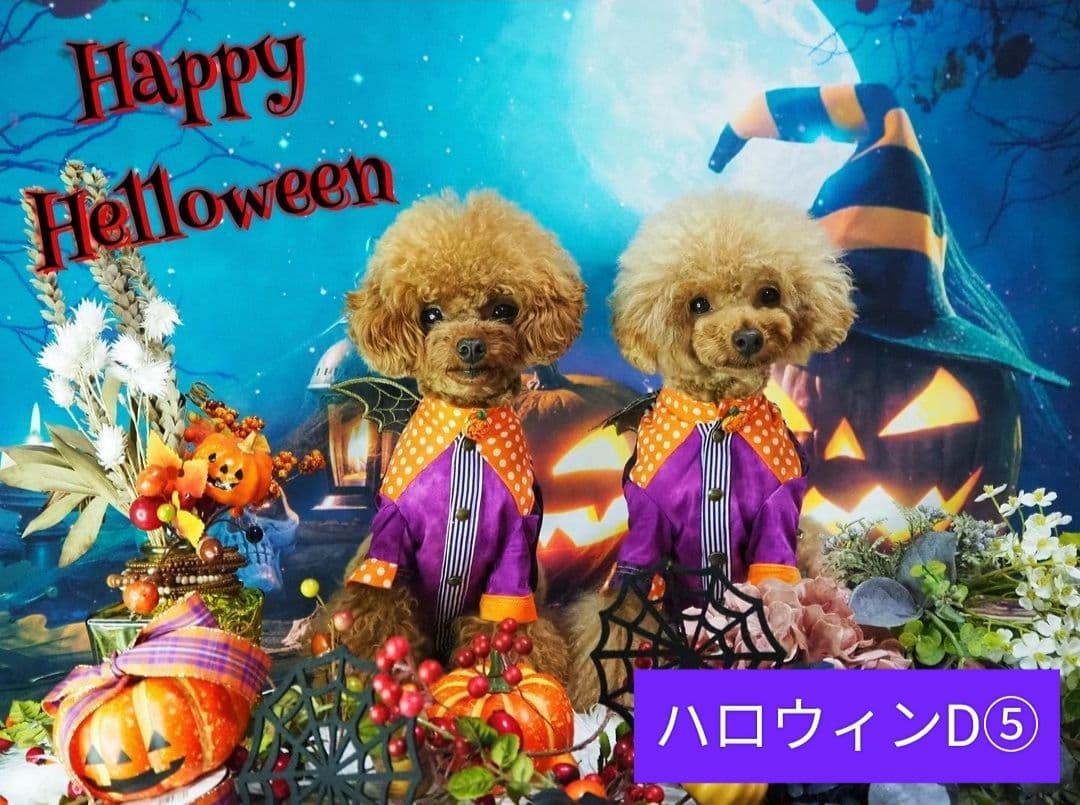 背景布　ハロウィンK①　パーティー、ペット、キッズ、ドール撮影用