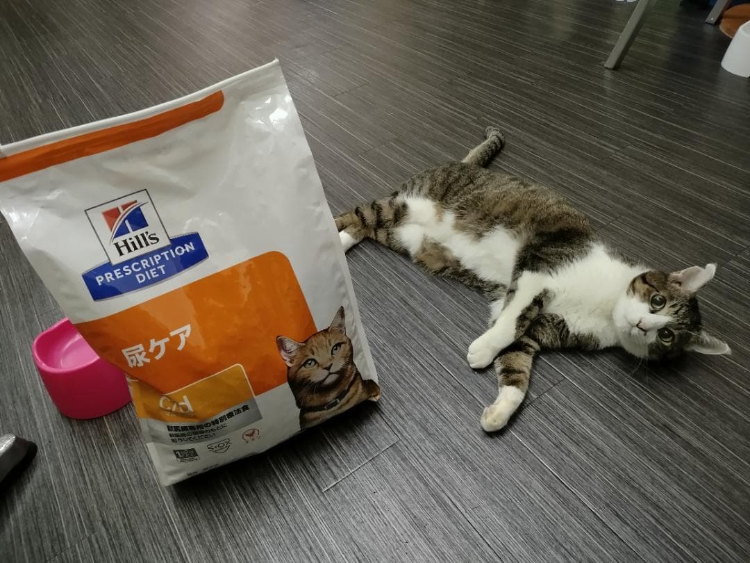 ヒルズ 猫用 尿ケア c/d マルチケア チキン 4kg 賞味期限2026/9