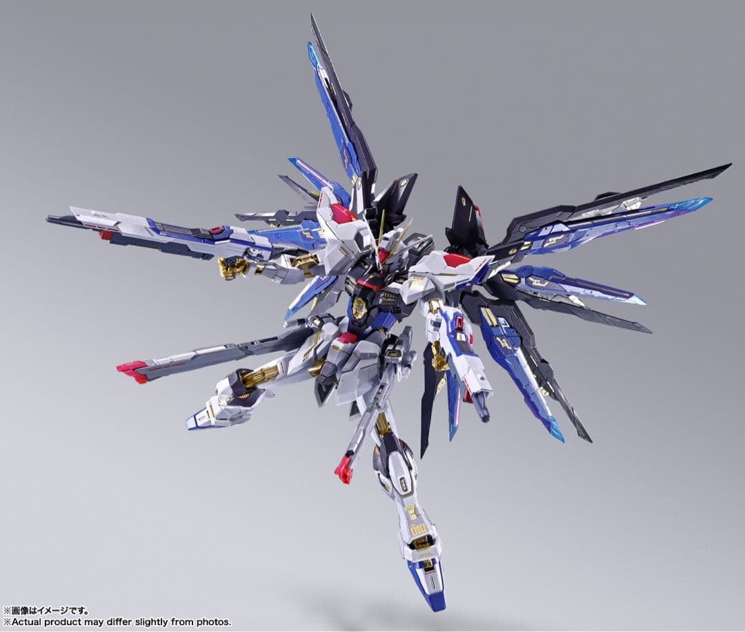 メタルビルドストライクフリーダムガンダム　festival2024