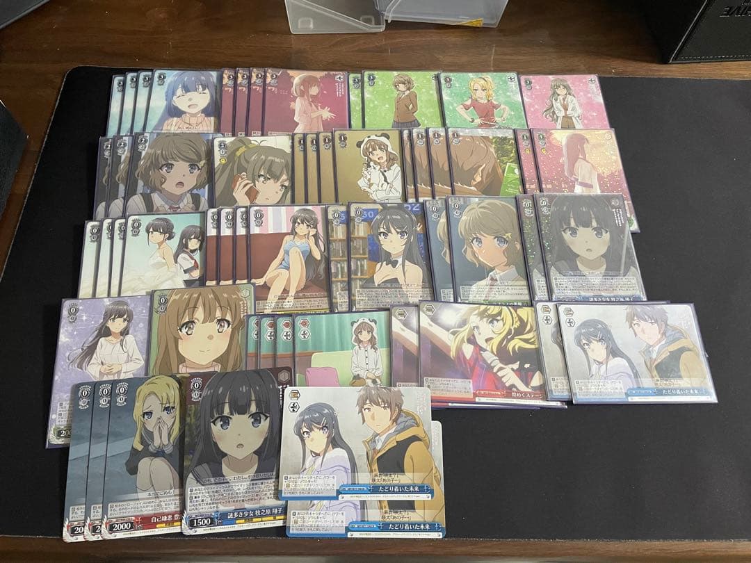 ヴァイス　青ブタ