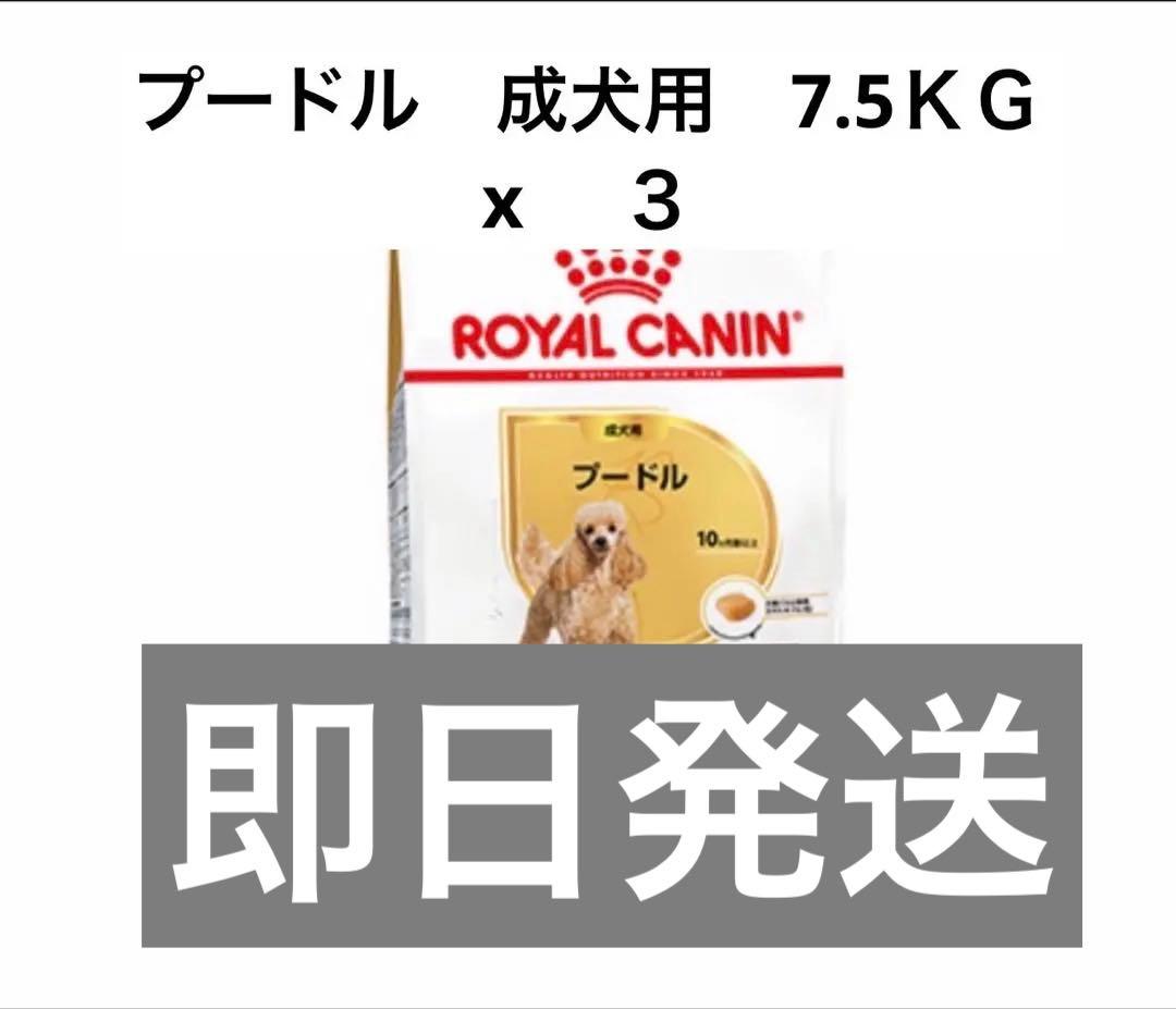  CANIN プードル 成犬用 7.5KG x 3 ロイヤルカナン