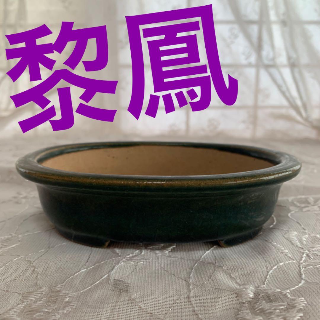 黎鳳　楕円　織部　盆栽鉢