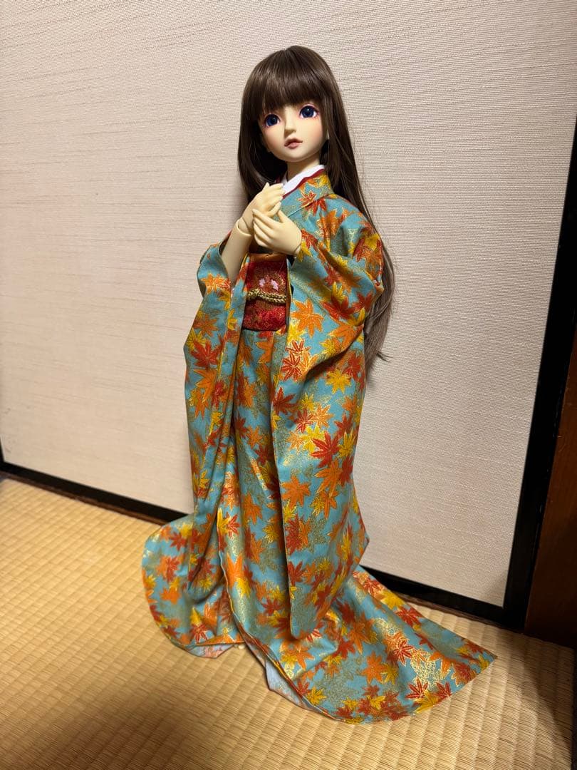 羅紗SD.DD他対応　紅葉柄振袖セット