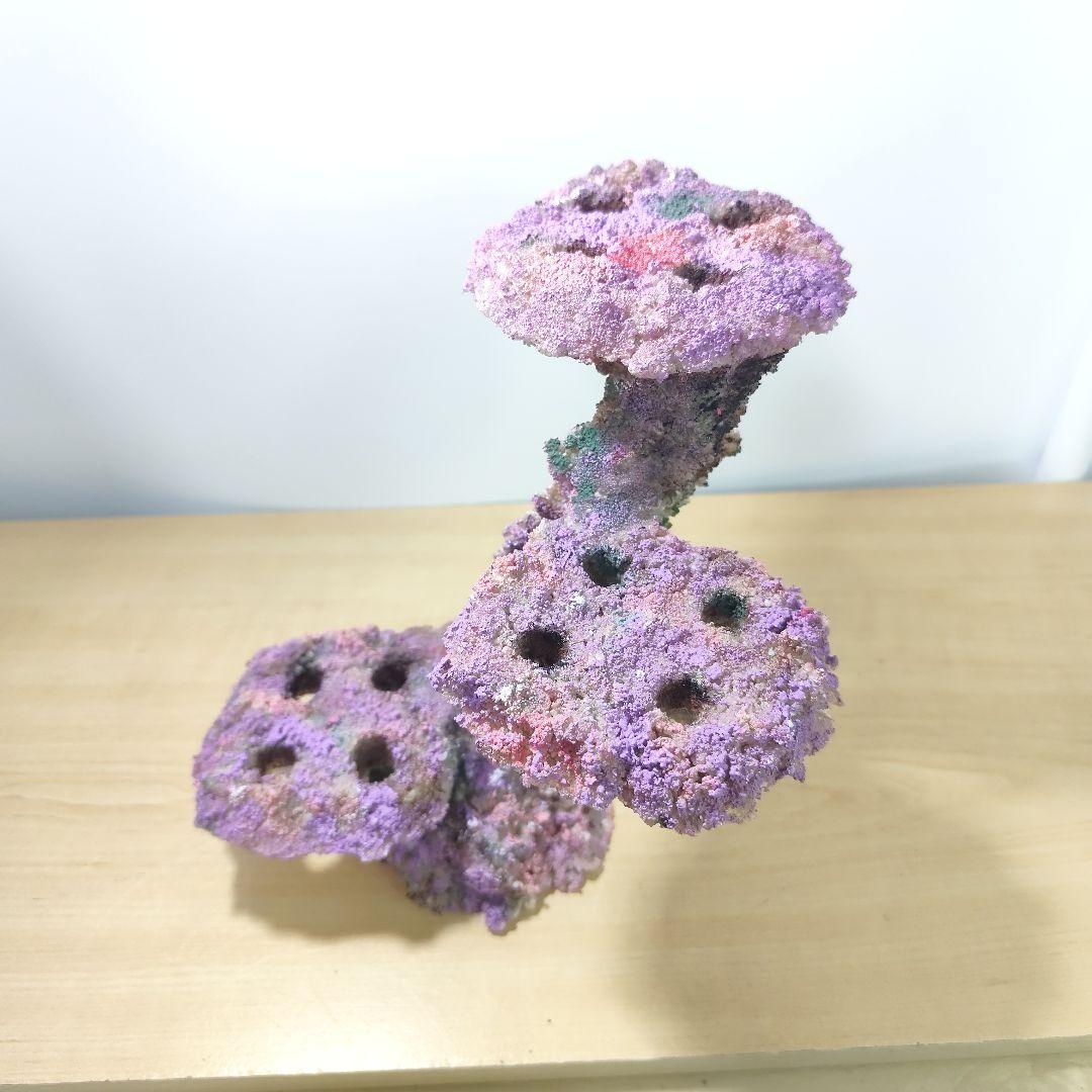 プラグ穴付き アク抜き不要人工ライブロック 海水水槽 レプリカ コーラルフラグ2