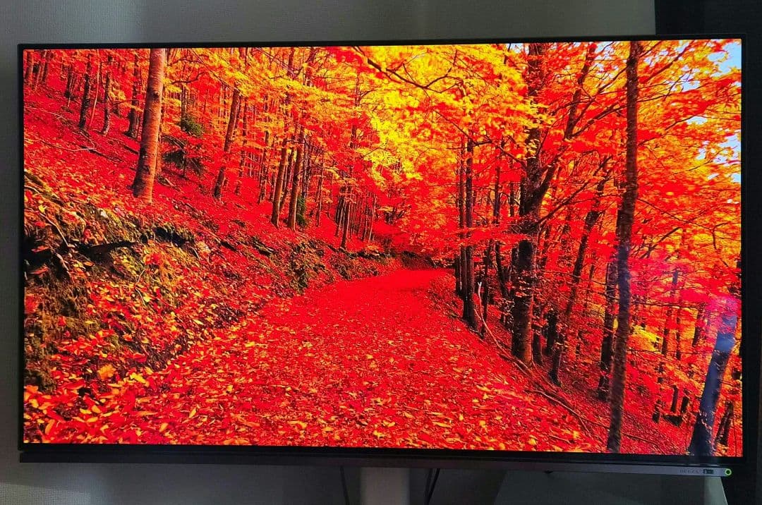 送料込 東芝 REGZA レグザ 48X8900K 48型 4K 有機ELテレビ