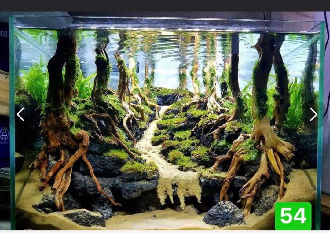 TTD 【⭐︎ゆう様⭐︎】【美品・数量限定】