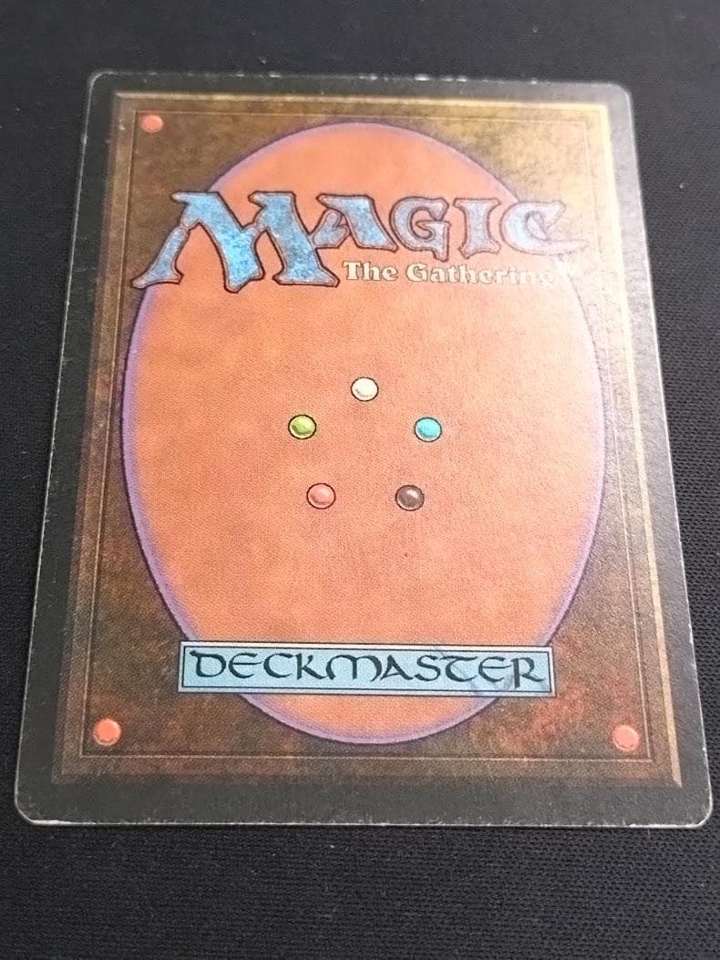 MTG Tropical  イタリア語 リバイズド黒枠 3EDBB