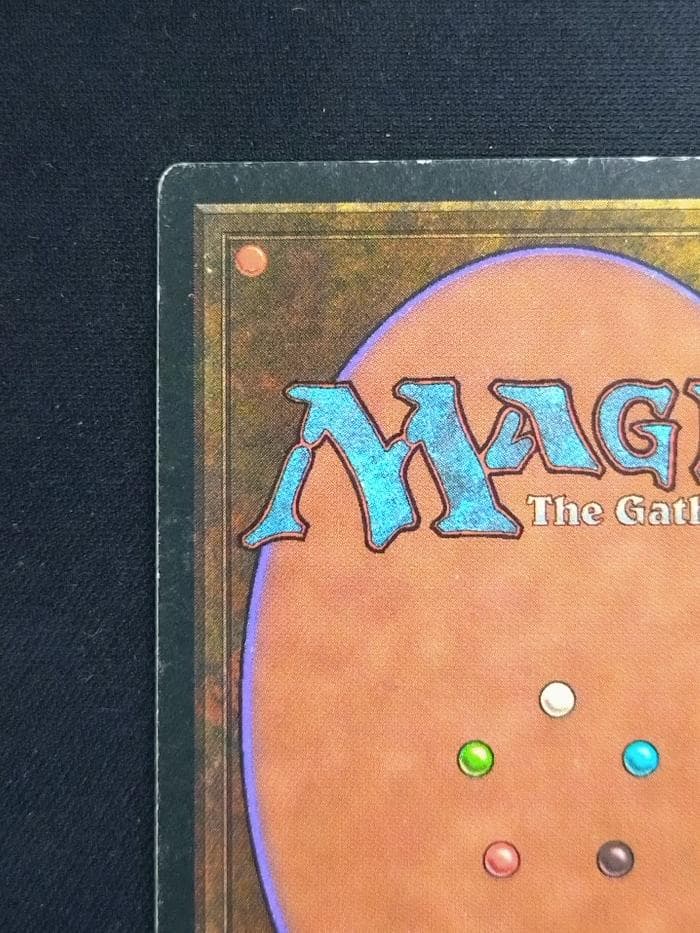 MTG Tropical  イタリア語 リバイズド黒枠 3EDBB