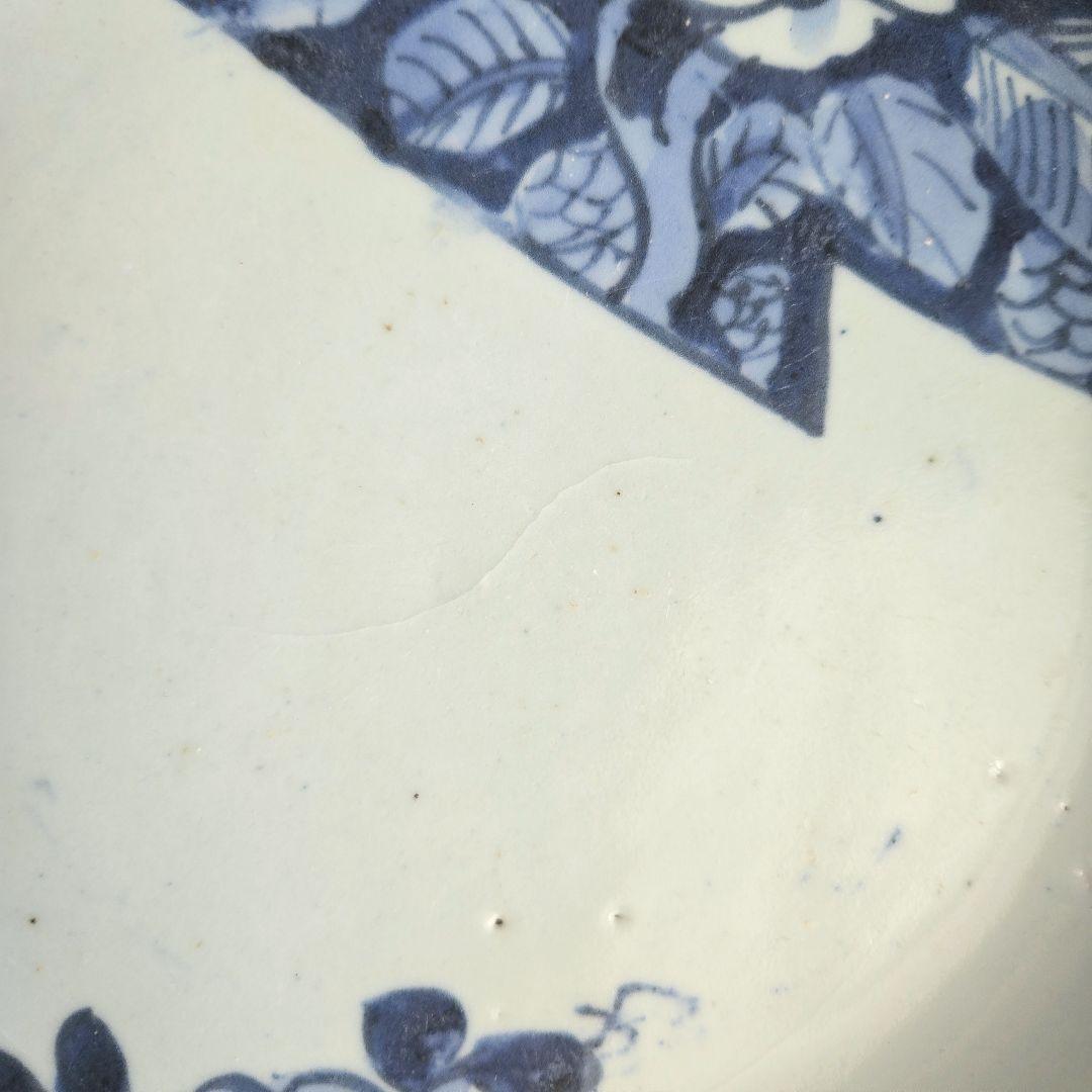 古伊万里　染付　七寸皿　椿　江戸時代　窓絵　骨董　アンティーク