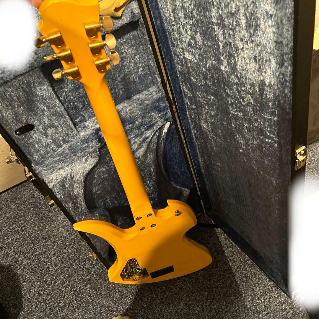 Burny エレキギター ハート柄 ケース付き+ エリクサーギター弦付