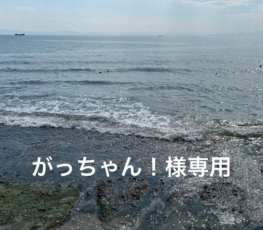 【がっちゃん！枠】