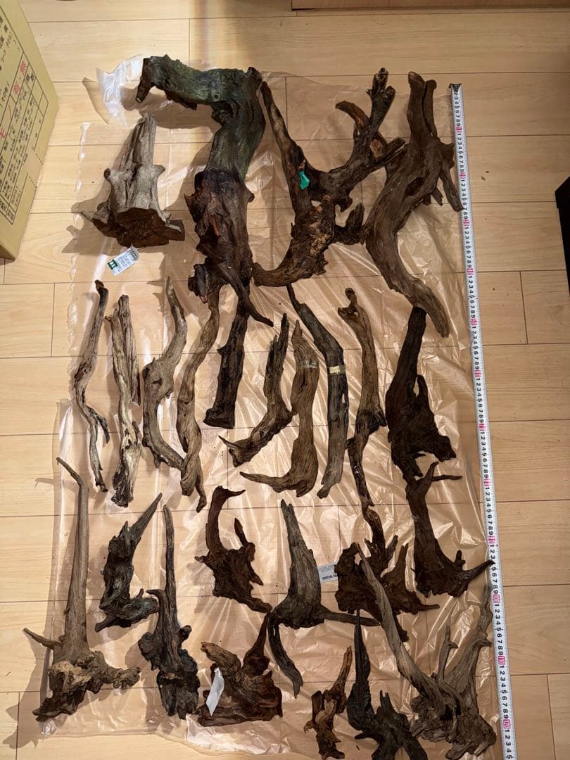 水槽用流木 複数セット