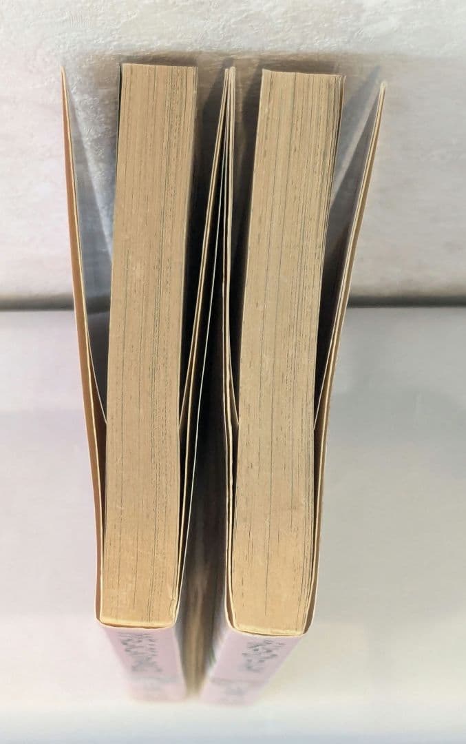 小林深雪 79冊 講談社 X文庫 ティーンズハート 小説 文庫本