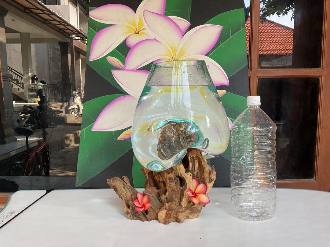 【新入荷】フィッシュボール(流木ガラス水槽)L size