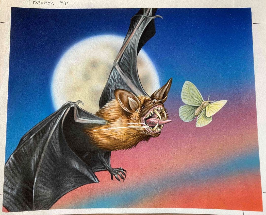 マジックザギャザリング原画『ダクムーアのコウモリ』