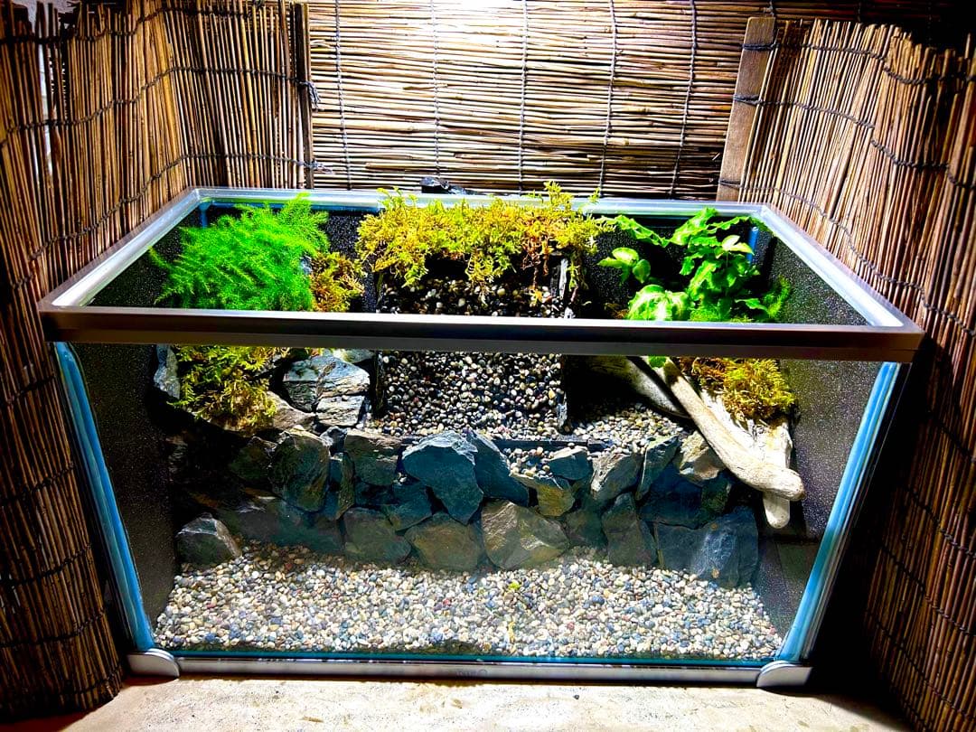 水の流れる滝テラリウム水槽　苔テラリウム　50センチ