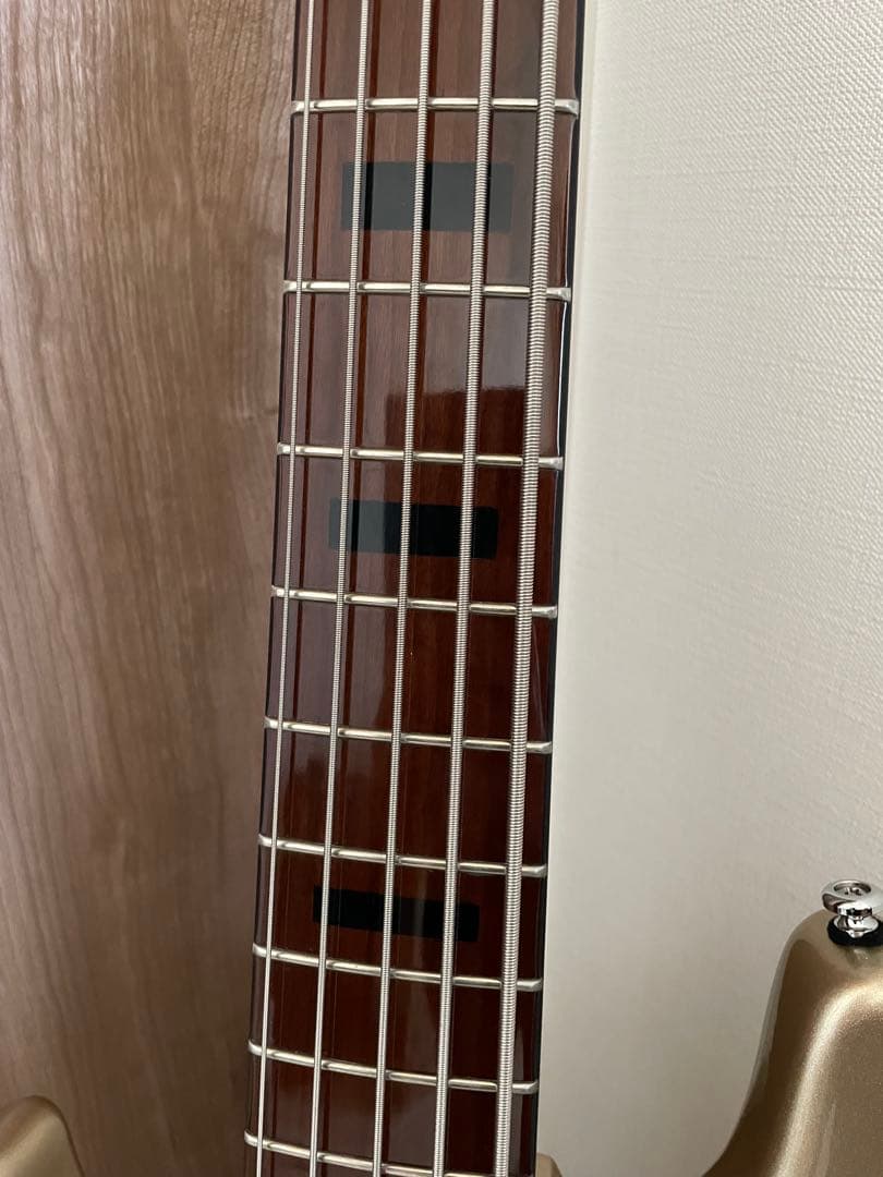 sire 5弦ベース　レフティ