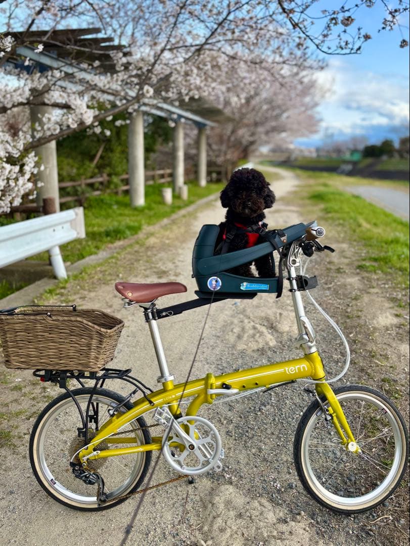 【最終値下げ】バディーライダー　Buddy Rider