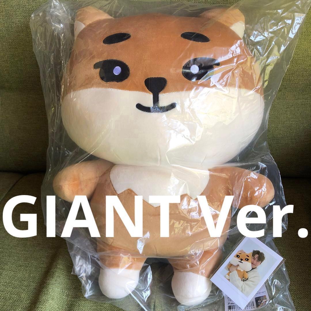 day6 denimalz ぬいぐるみジャイアントver. トレカKE ヨンケイ