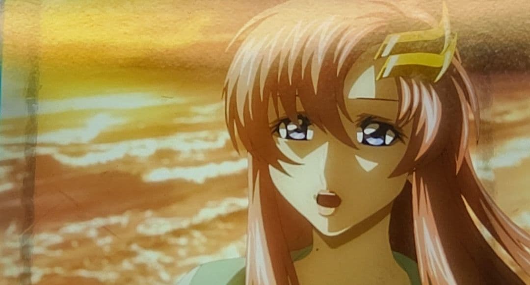 ガンダムSEED FREEDOM コマフィルム ラクス 海岸