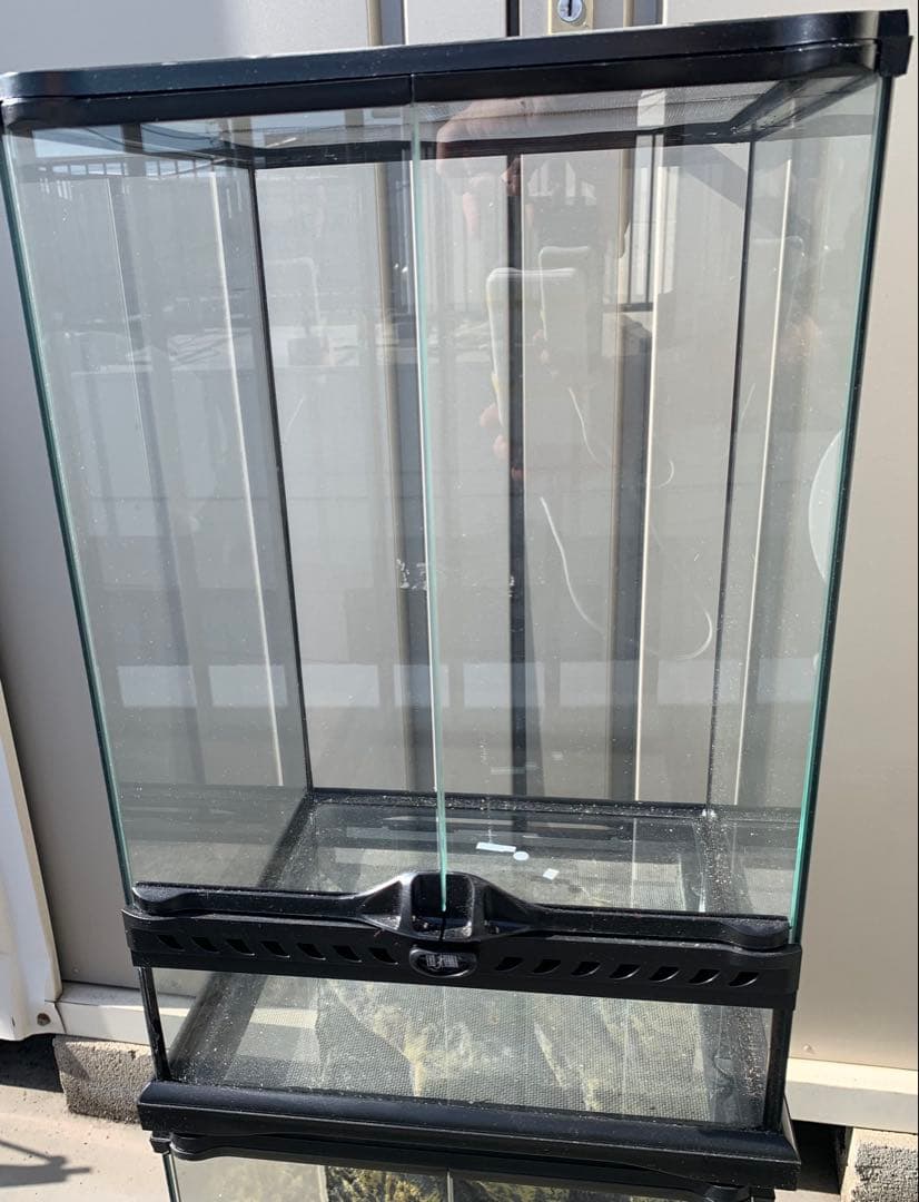 グラステラリウム　3045 エキゾテラ　未使用品