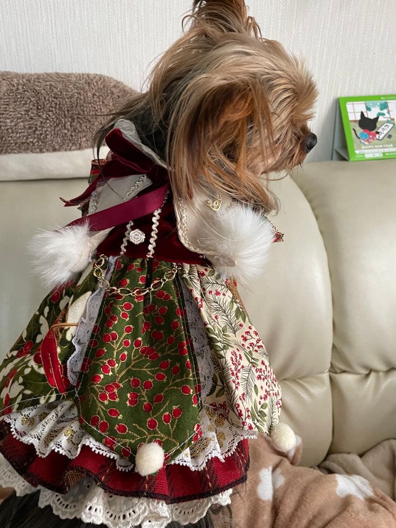 小型犬用クリスマスドレス