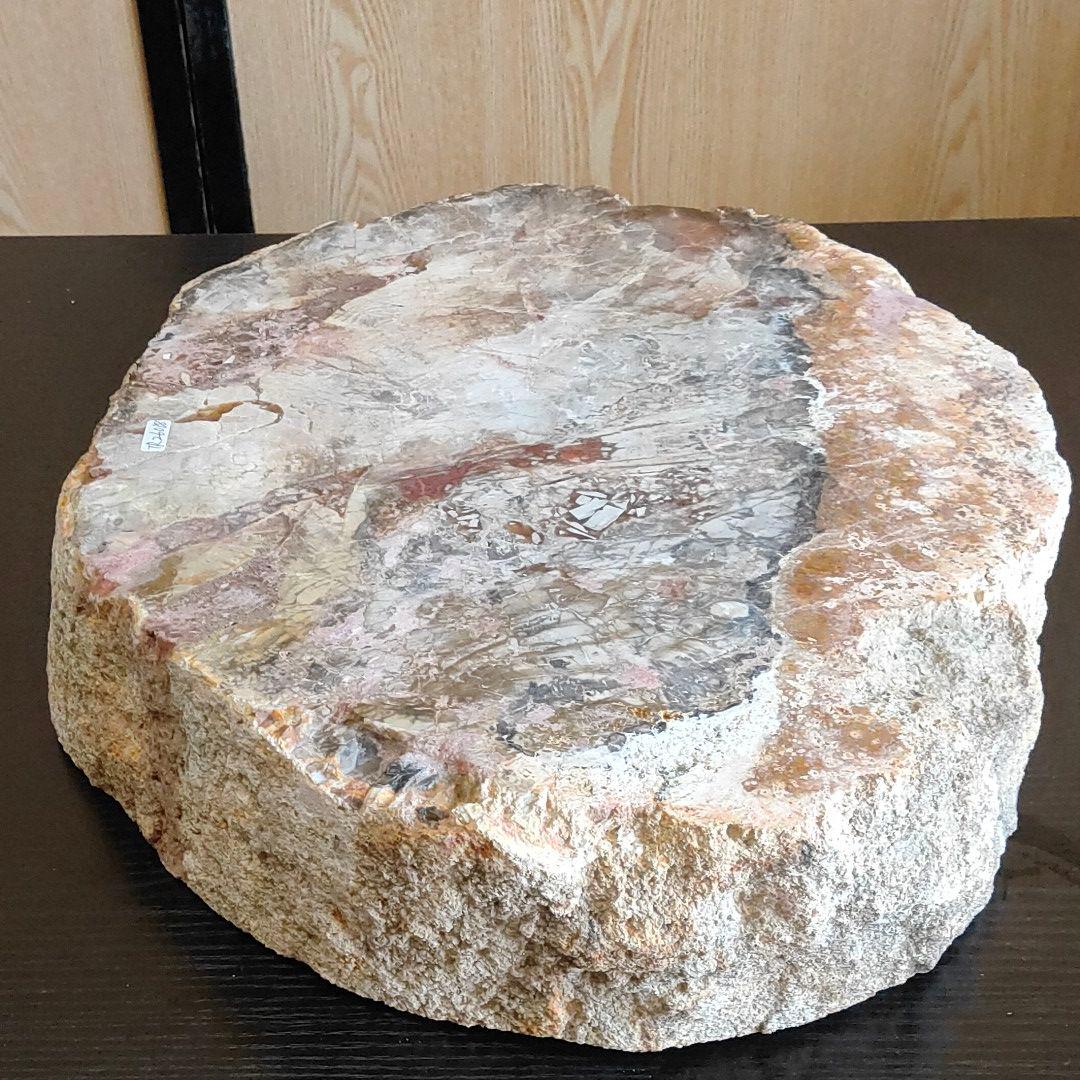 超特大の珪化木の化石です。