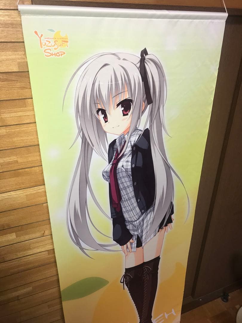 ゆずソフト エリナ タペストリー DRACU-RIOT! ドラクリオット