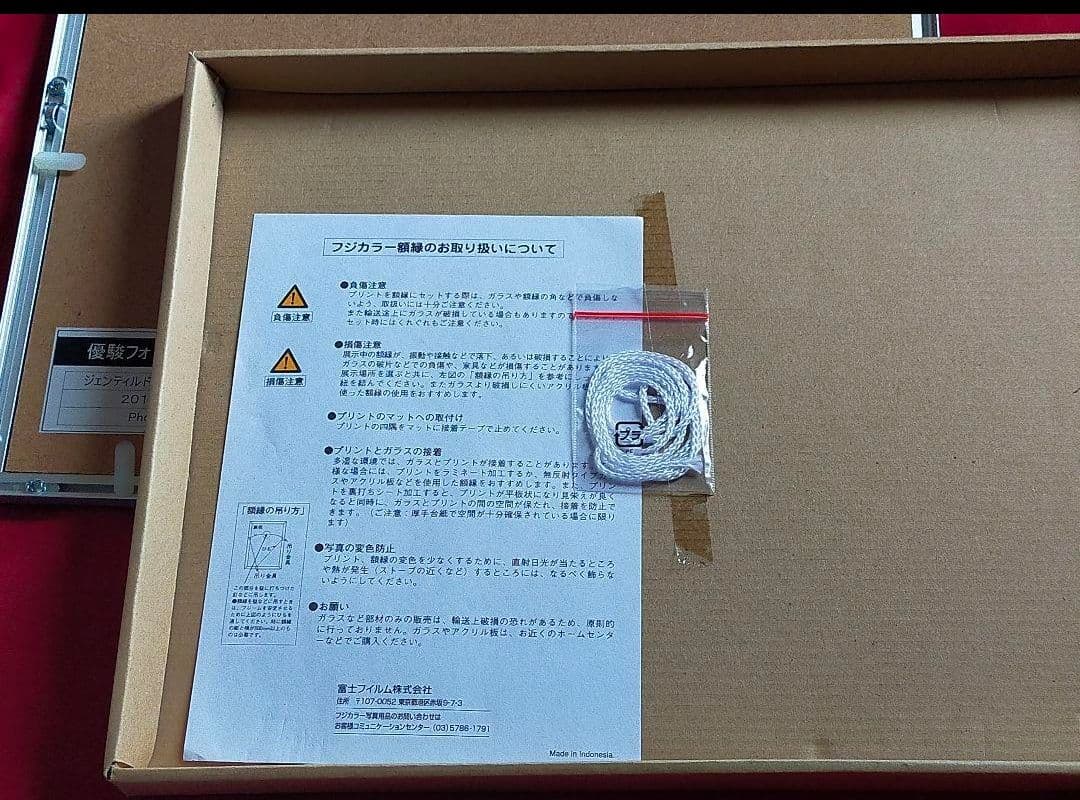 ①◆　競馬　JRA　◆　ジェンティルドンナ　◆　１冠目　桜花賞　◆　優駿フォト◆