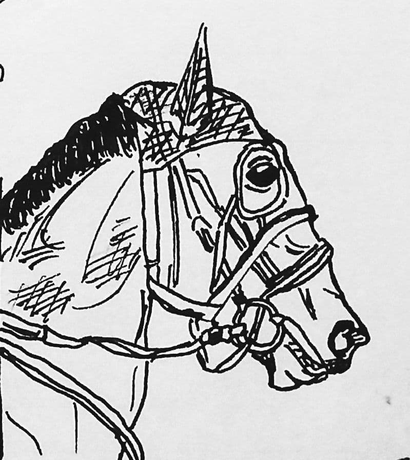 あなたの愛馬のイラスト