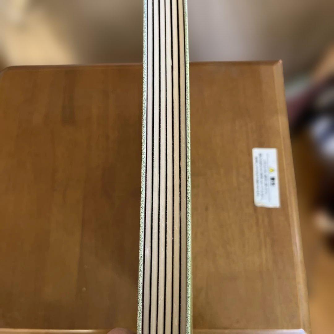 ポケモンメタルフォルダー　55枚付き