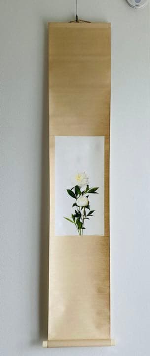 鞆岡隆史　軸　「芍薬」　（1/5）　写真　軸飾　茶掛　茶道　茶室飾り　寄り付飾り