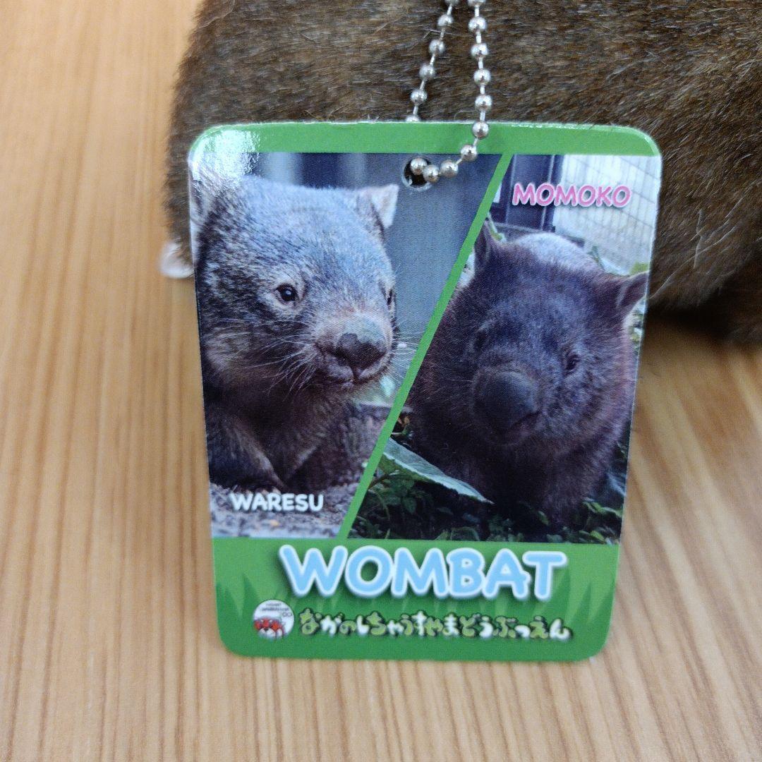 茶臼山動物園 コモンウォンバット ウォレス モモコ ぬいぐるみ マスコット 2点