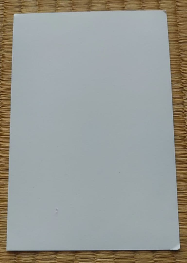 【匿名配送】Vassalord レイフロ アニメイト特典 イラストカード