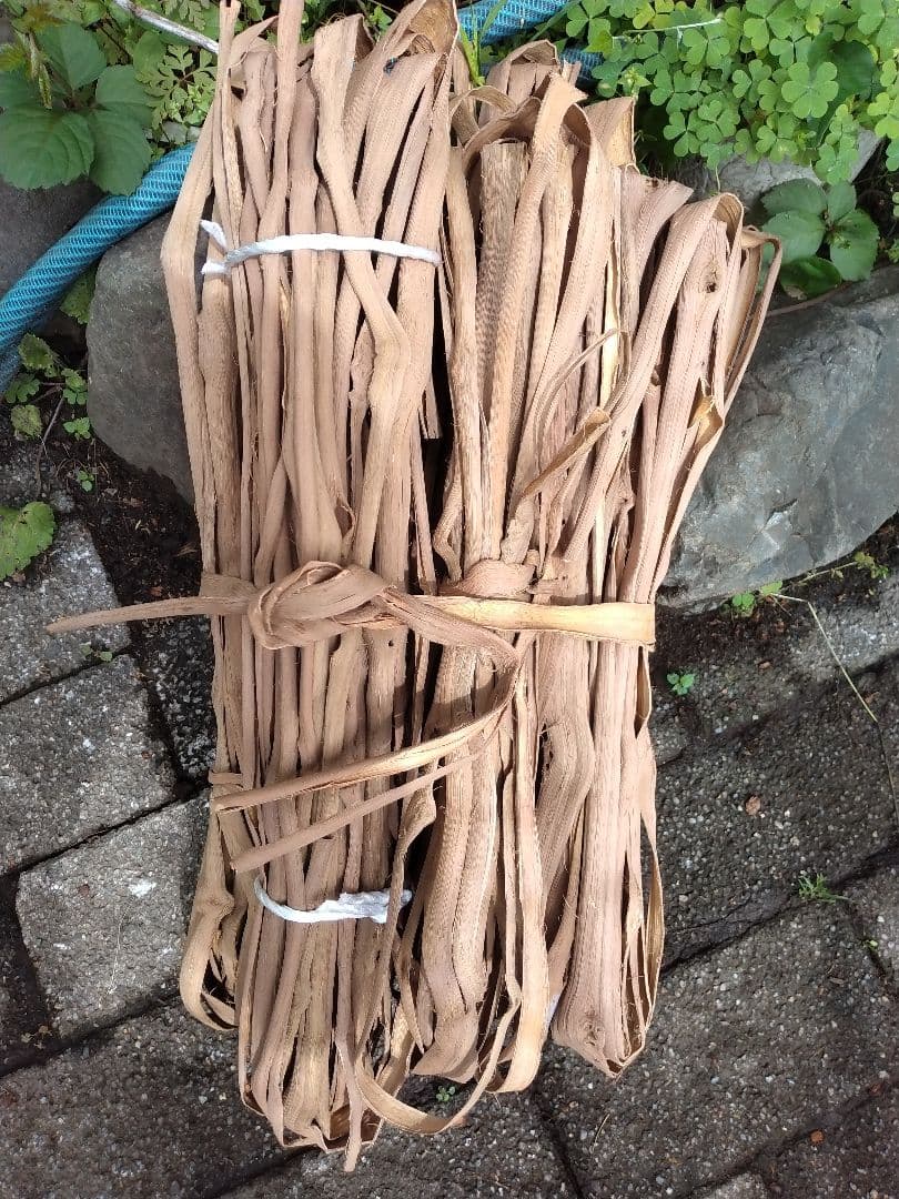 その他 yamabudounokago