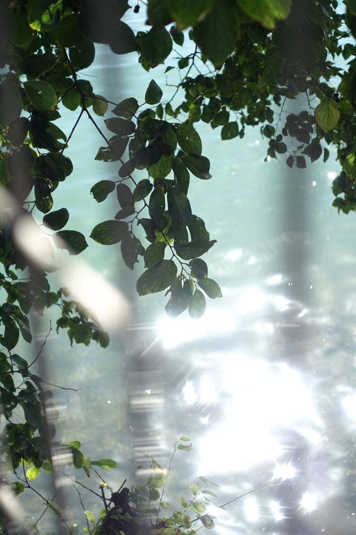 SONY RX100M3 実働品