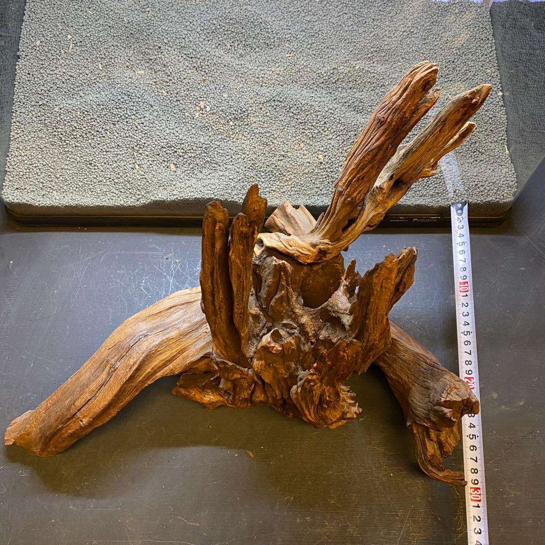 MRW-5822 赤系天然流木　自立流木　1点物　流木　アクアリウム