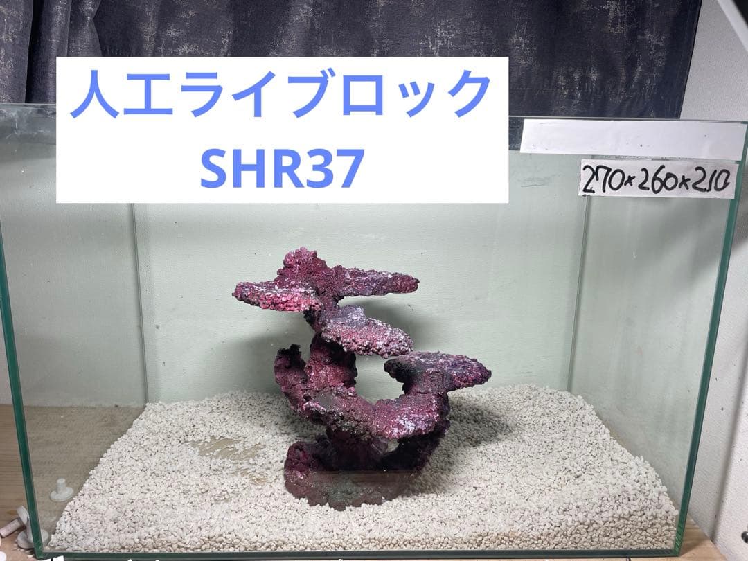 人工ライブロック　SHR37 アク抜き済み安心塗料使用