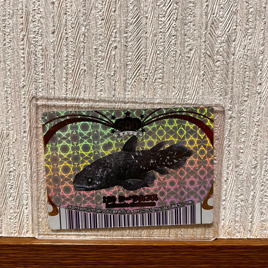 (即購入可能)マリンマリン　シーラカンス