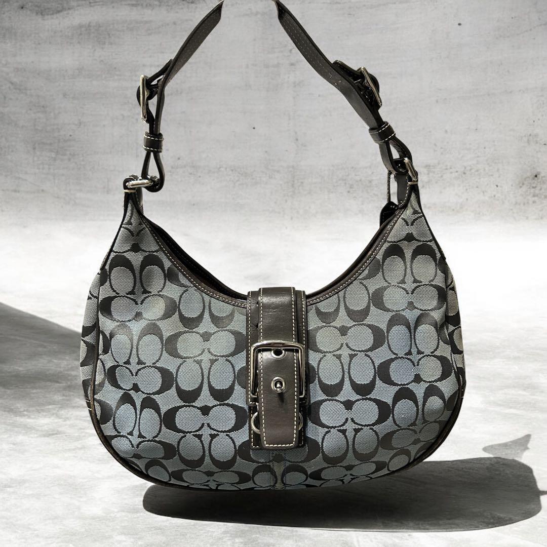 バッグ COACH harf-moon hobo leather signature