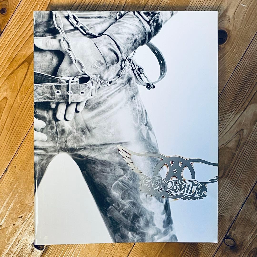 エアロスミスGET A GRIP TOUR 94来日公式ツアーパンフ 美品 希少