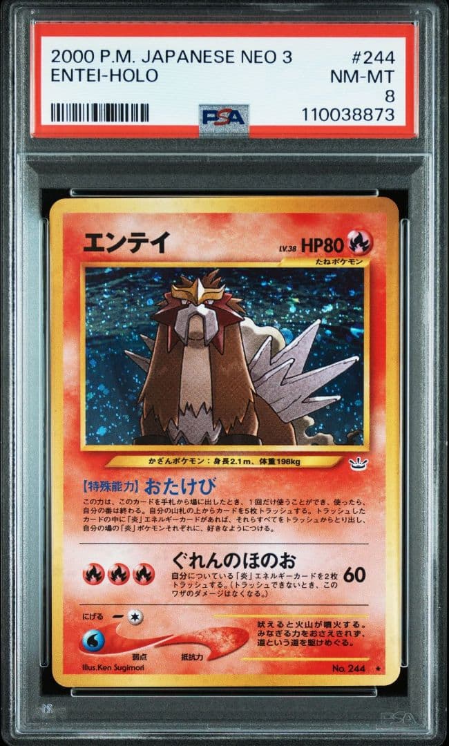 エンテイ ENTEI-HOLO PSA8