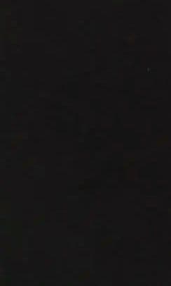 NMB48 石原雅子 生写真 セット