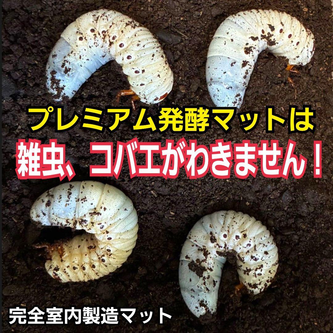 極上品！ヘラクレス181リミ羽化！プレミアム3次発酵カブトムシマット【100L】