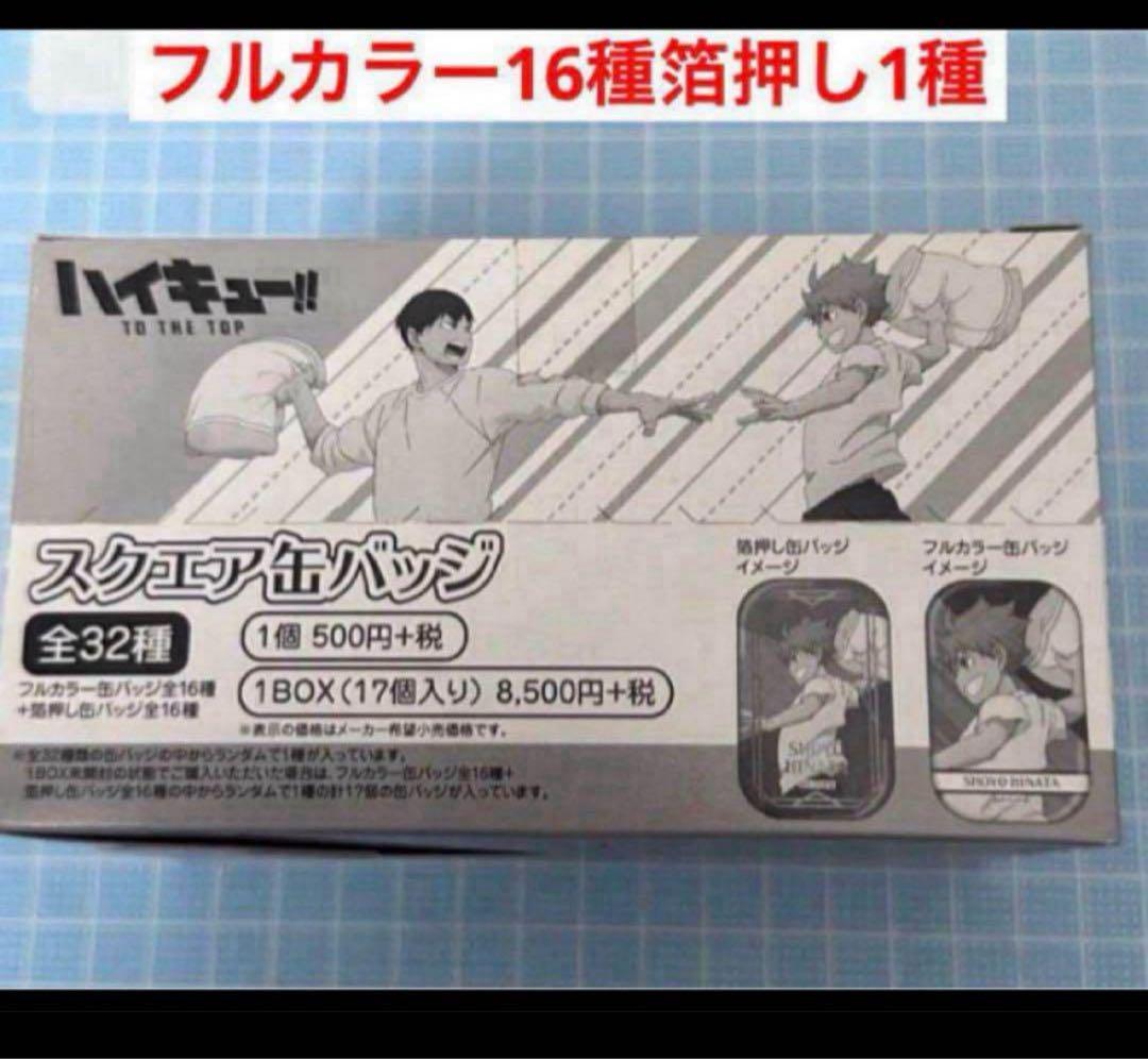 ハイキュー　フルカラー 箔押し　缶バッジ　遠征　ユニフォーム　1BOX eihc