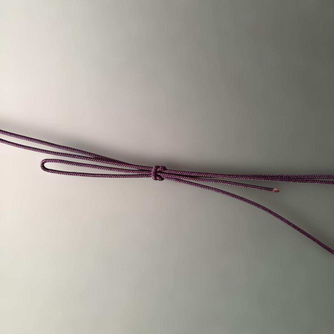 絵画　月下美人　　⚠️素人画