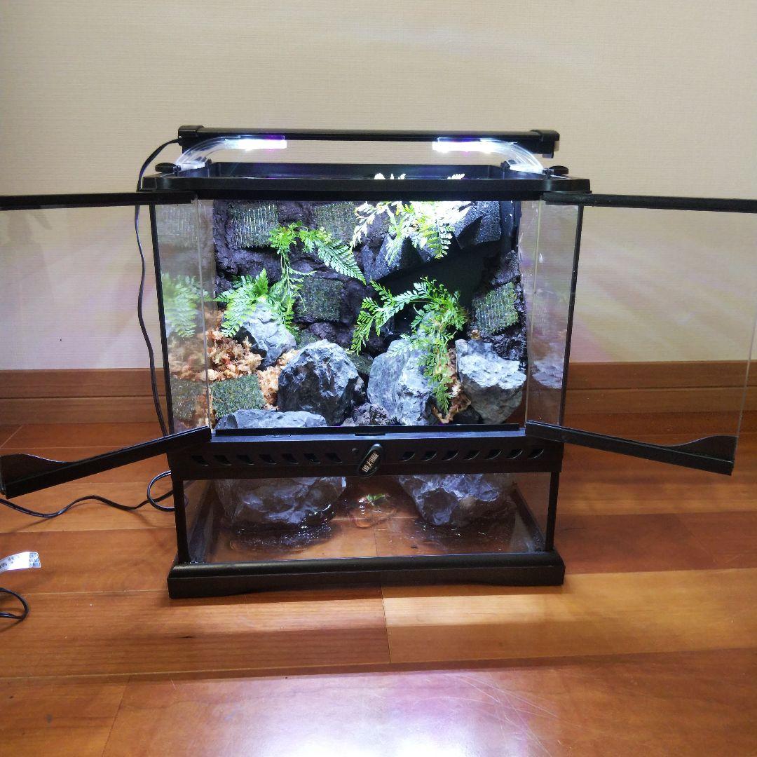 【受注生産】グラステラリウム3030　イモリウム　苔テラリウム