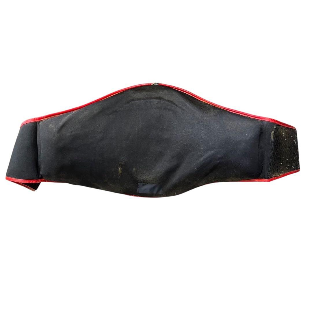 TWINSボディーミット　キック打撃練習　格闘技